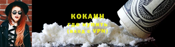 шишки Богданович