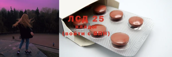 крисы Богородицк