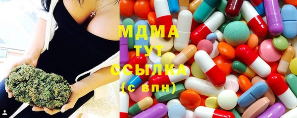 крисы Богородицк