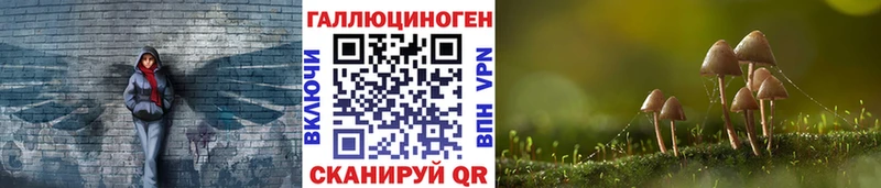 shop телеграм  Верещагино  Псилоцибиновые грибы Psilocybine cubensis 